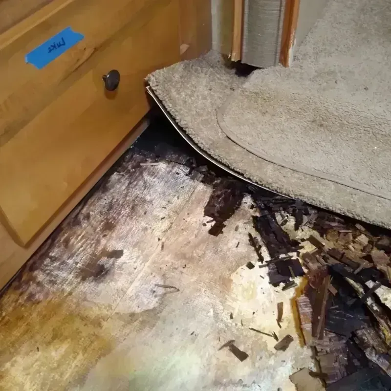 Wood Floor Water Damage in Ocean Gate, NJ